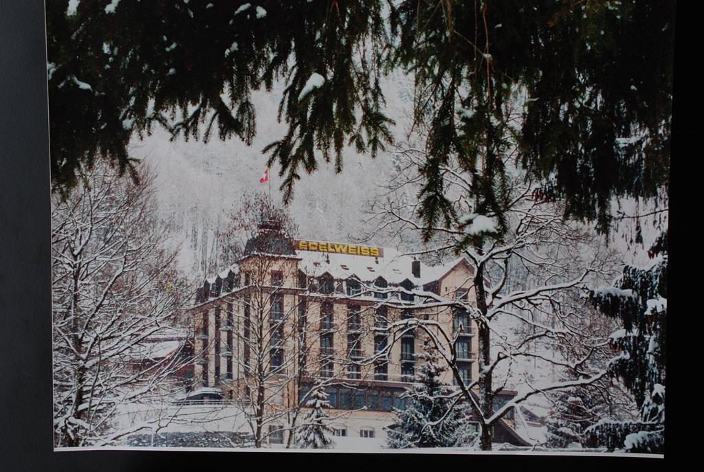 Hotel Edelweiss Энгельберг Экстерьер фото